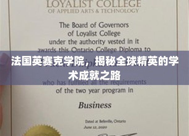法国英赛克学院，揭秘全球精英的学术成就之路