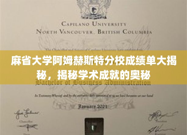 解码麻省大学阿姆赫斯特分校成绩单，探索学术卓越背后的秘密