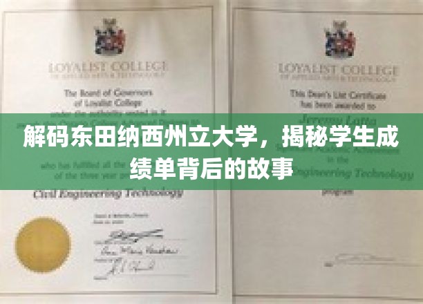 解码东田纳西州立大学：揭开学生成绩单背后的奥秘
