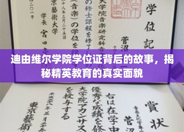 解码精英学府，迪由维尔学院学位证背后的非凡传奇