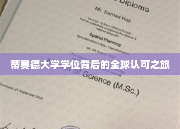 全球通行证，揭秘蒂赛德大学学位的国际认可之路