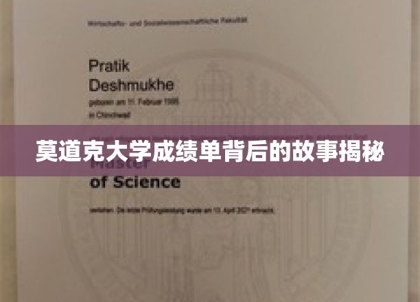 揭开莫道克大学成绩单背后的神秘面纱