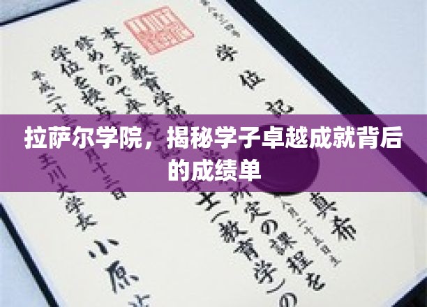 拉萨尔学院学子卓越之路，揭秘背后的耀眼成绩单