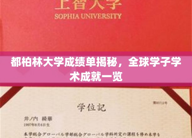 解码都柏林大学成绩单，世界学子学术辉煌全景展露