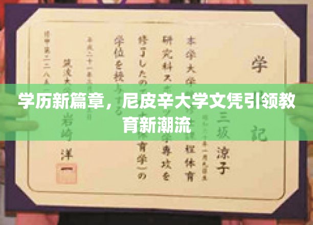学历新篇章，尼皮辛大学文凭引领教育新潮流