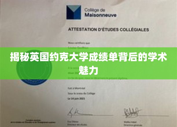 探寻约克大学成绩单中的学术奥秘与卓越风采