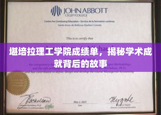 堪培拉理工学院成绩单，揭示学术成就背后的故事
