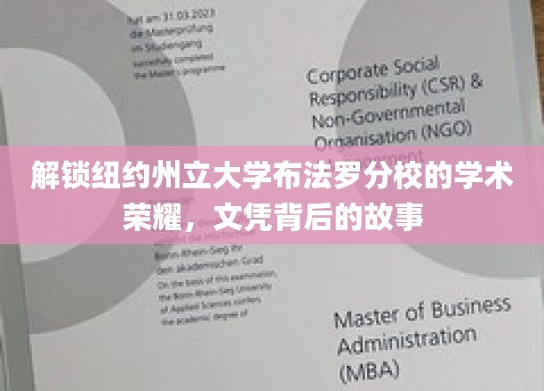 揭开纽约州立大学布法罗分校辉煌学术成就的面纱