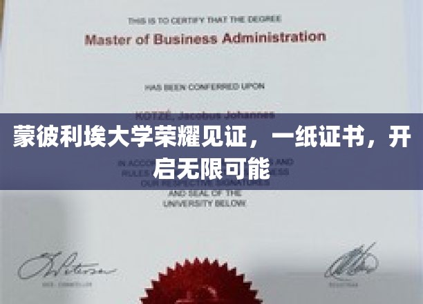 蒙彼利埃大学证书，铺就人生新篇章的起点