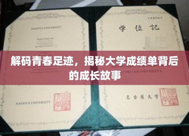 青春足迹解码，一纸成绩单里的成长轨迹