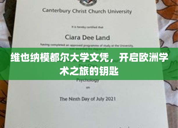 欧洲学术之门，维也纳模都尔大学文凭，开启你的学术探险之旅