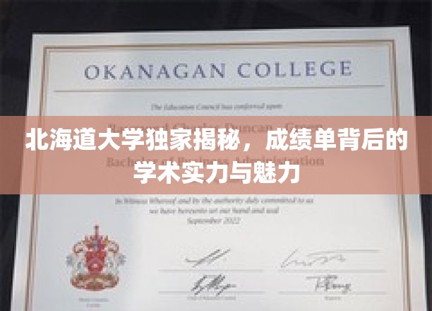北海道大学独家揭秘，成绩单背后的学术实力与魅力