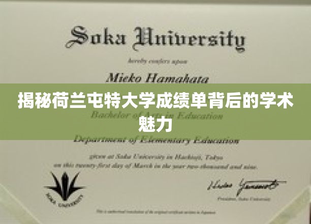探寻荷兰屯特大学成绩单中的学术风采之谜