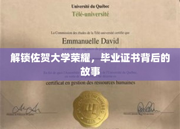 佐贺大学传奇揭秘，毕业证书背后的不凡历程