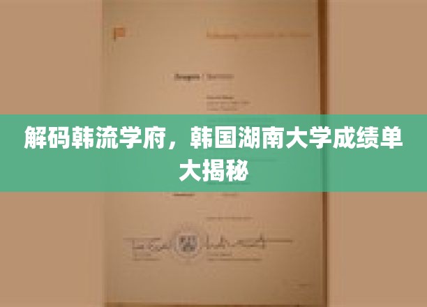 韩国湖南大学风云录，揭秘校园里的明星学霸们