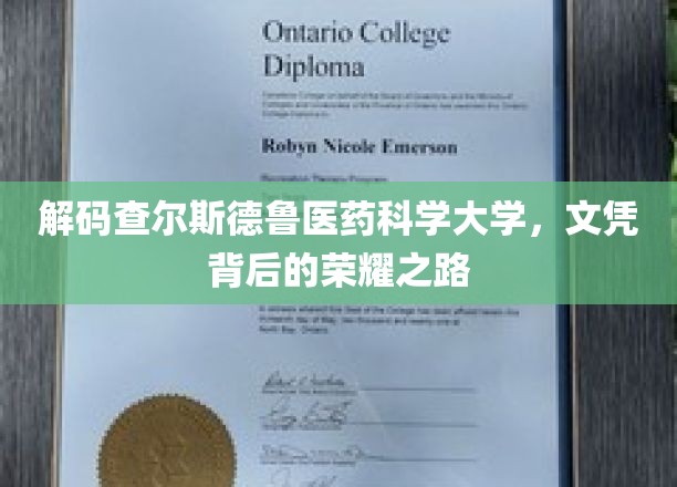 解码查尔斯德鲁医药科学大学，文凭背后的荣耀之路