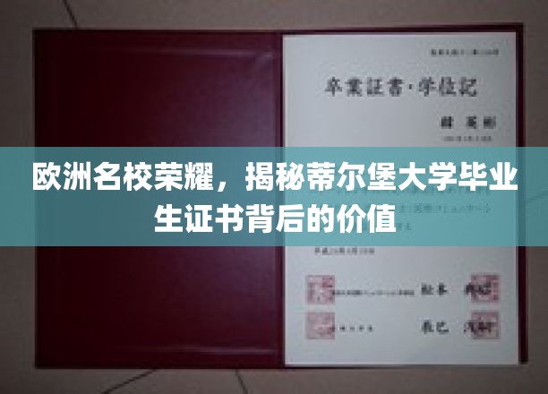 欧洲名校荣耀，揭秘蒂尔堡大学毕业生证书背后的价值