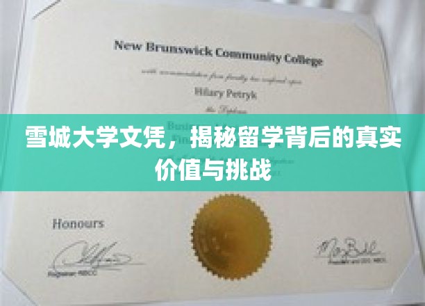 雪城大学文凭，揭示留学背后的真实价值与挑战