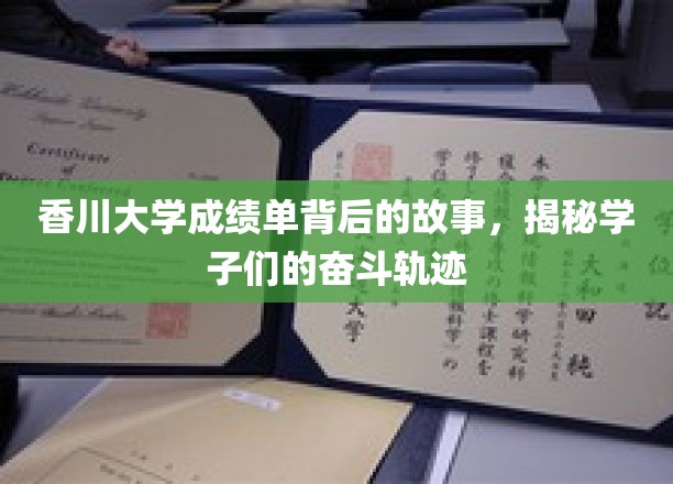 香川学子足迹，揭开成绩单背后的奋斗篇章