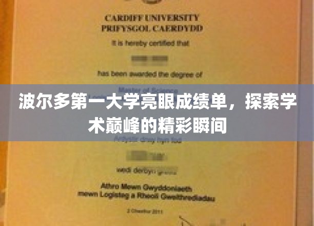 波尔多第一大学瞩目成就盘点，揭秘学术高峰的璀璨瞬间