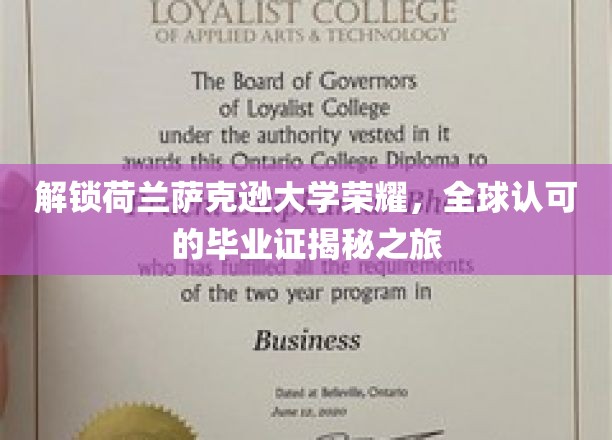 荷兰萨克逊大学荣耀之旅，揭秘国际认可的毕业证书魅力