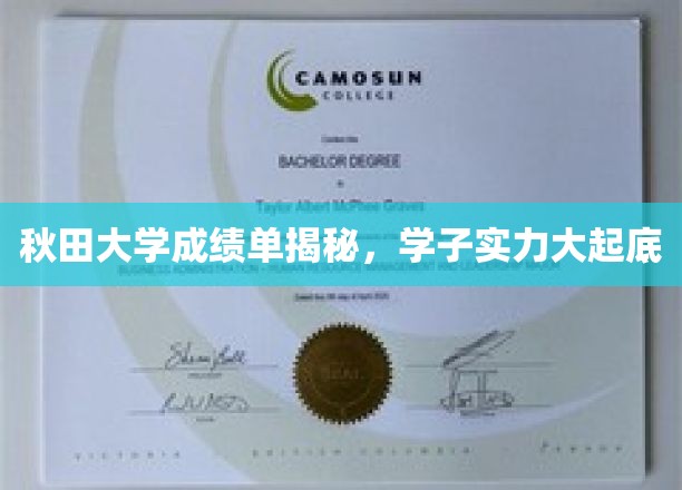 秋田学子实力大曝光，揭秘秋田大学成绩单背后的真相
