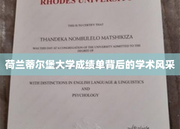 荷兰蒂尔堡大学成绩单映照下的学术风采