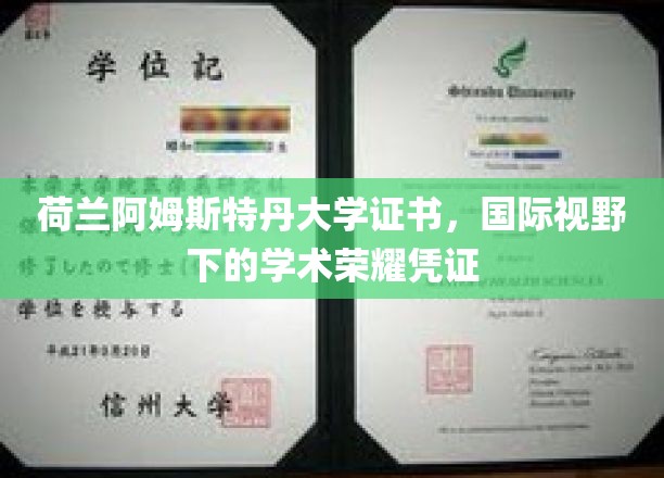 跨国教育里程碑，阿姆斯特丹大学证书，解锁全球学术成就新篇章