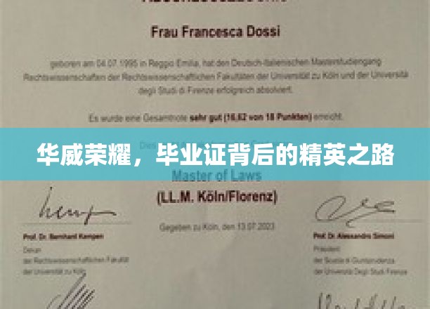 华威精英养成记，毕业证背后的荣耀征程