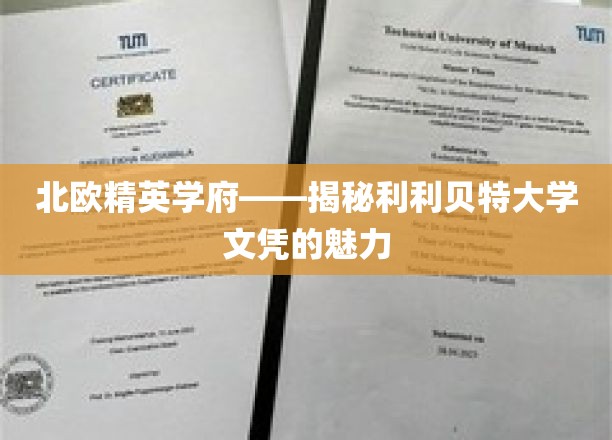 解锁北欧教育瑰宝，利利贝特大学文凭的独特魅力