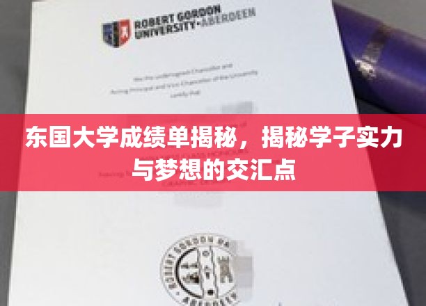 东大揭秘，成绩单背后的学子梦想与实力火花