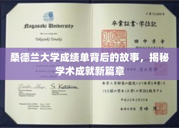 解码桑德兰大学，成绩单背后的璀璨学术传奇