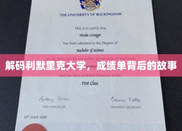 利默里克大学揭秘，成绩单背后的成长轨迹