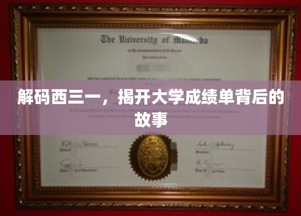 解码西三一，揭秘大学成绩单背后的故事