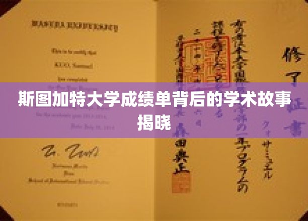 斯图加特大学成绩单背后的学术故事揭秘