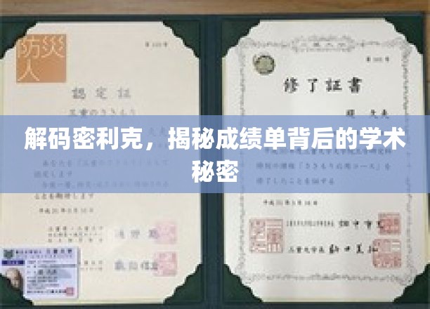 密利克成绩揭秘，探寻学术成就背后的深层奥秘