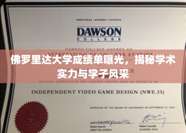 佛罗里达大学学子风采大揭秘，成绩单背后的学术实力与风采一览