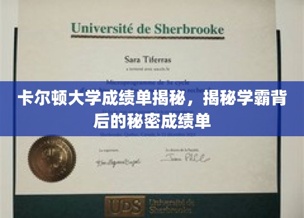 揭开学霸真面目，卡尔顿大学成绩单中的不为人知秘密