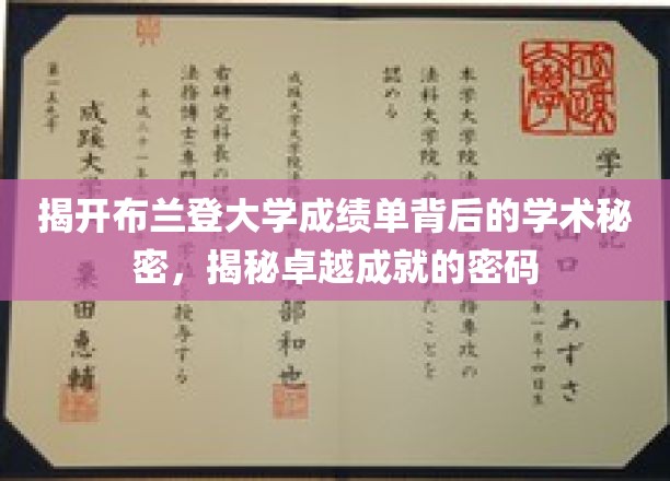 探索布兰登大学成绩单的学术奥秘，解锁卓越成就的钥匙