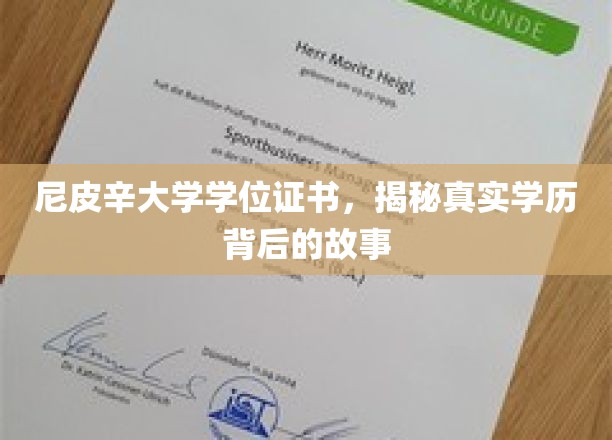 尼皮辛大学学位证书，探寻真实学历背后的故事