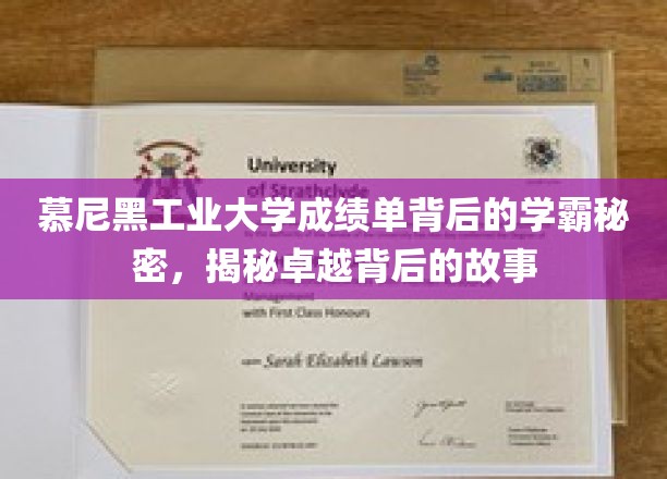 慕尼黑工业大学成绩单背后的学霸秘密，揭秘卓越背后的故事