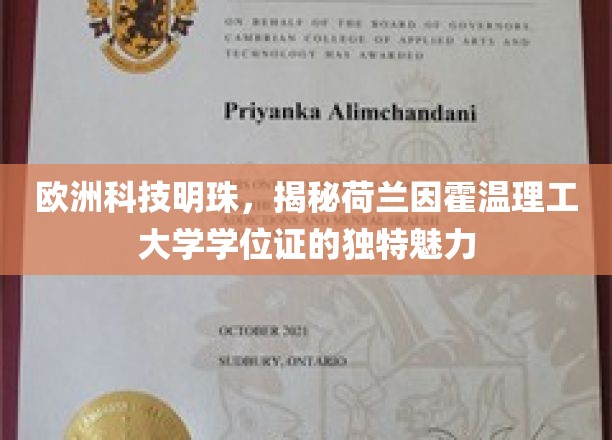 荷兰因霍温理工，学位证书中的欧洲科技瑰宝