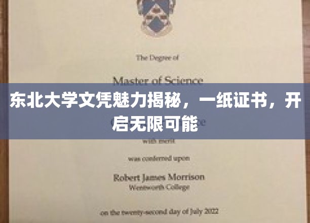 东北大学文凭魅力揭秘，一纸证书，开启无限可能