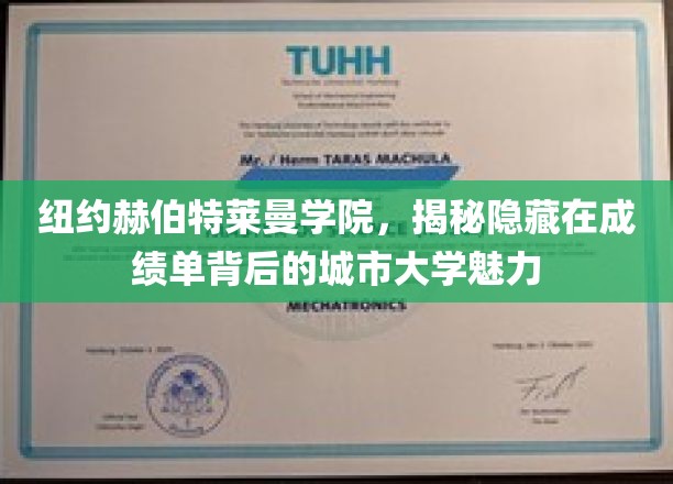 解码纽约赫伯特莱曼学院，探索城市大学的魅力与成就