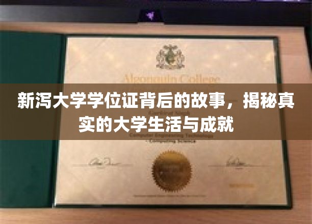 新泻大学学位证背后的故事，揭秘真实的大学生活与成就