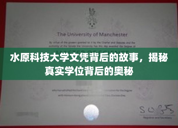学历背后的传奇，水原科技大学文凭的神秘面纱