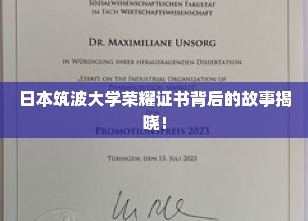 日本筑波大学荣耀证书背后的故事揭晓！