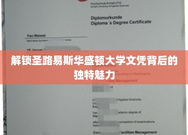 探秘圣路易斯华盛顿大学文凭，揭秘其不可复制的学术风采