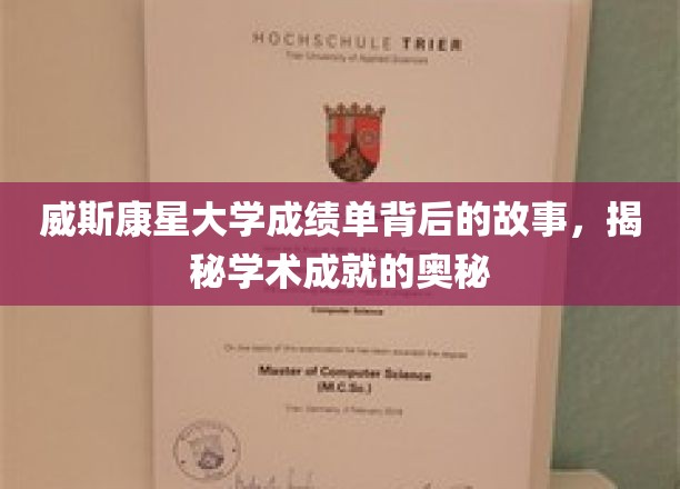 威斯康星大学成绩单解码，探寻学术巅峰的秘密之路