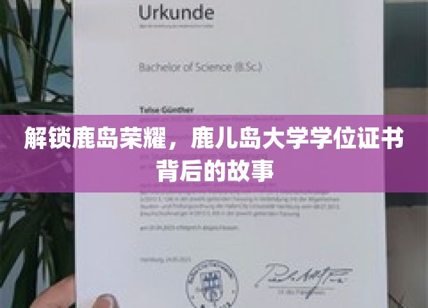 探寻鹿岛辉煌，鹿儿岛大学学位证书背后的传奇之旅